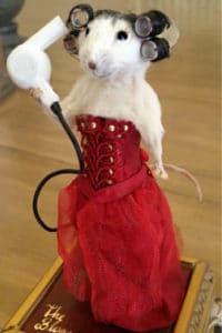 The Bloggess as a Taxidermy Mouse